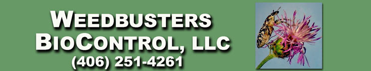 Weedbusters Biocontrol,  LLC
